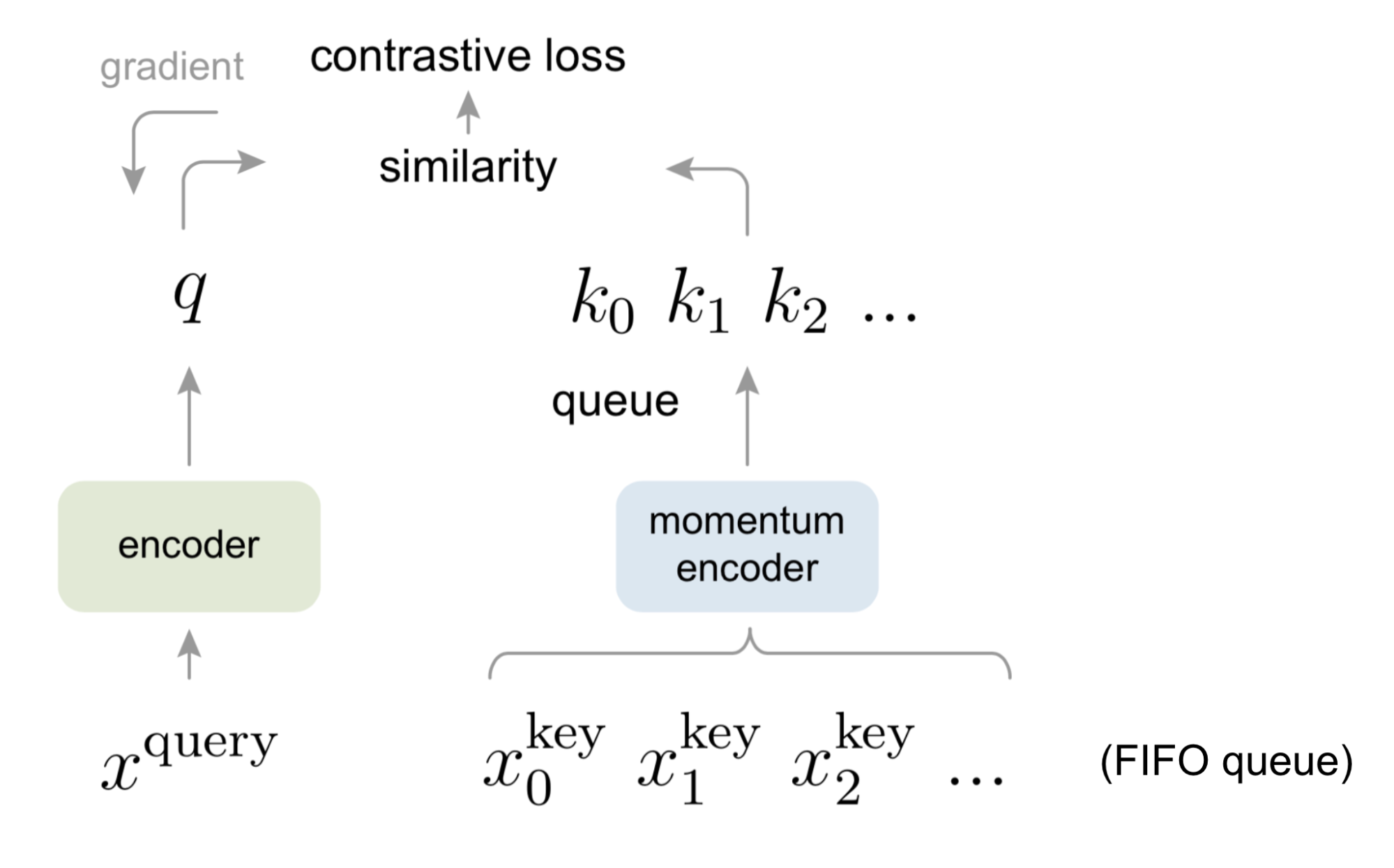 MoCo momentum encoder and FIFO queue pipeline