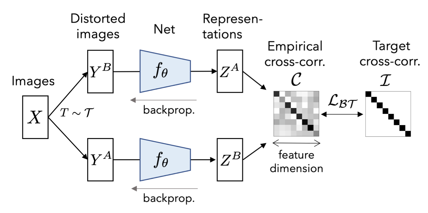 Barlow Twins cross-correlation matrix objective